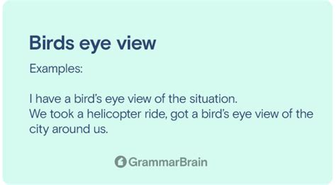 bird's eye view meaning|bird's eye view synonym.
